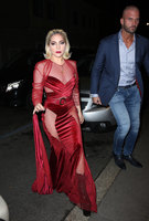 Lady Gaga Longsleeve T-shirt #3004548