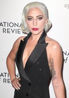Lady Gaga Longsleeve T-shirt #3746027
