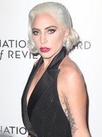 Lady Gaga Longsleeve T-shirt #3746317