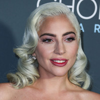 Lady Gaga Longsleeve T-shirt #3768833