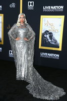 Lady Gaga Longsleeve T-shirt #3797988