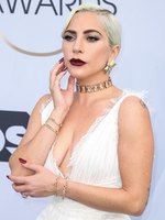 Lady Gaga Longsleeve T-shirt #3798033