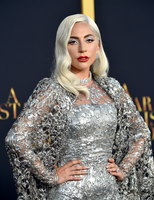 Lady Gaga Longsleeve T-shirt #3798111