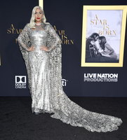 Lady Gaga Longsleeve T-shirt #3798128