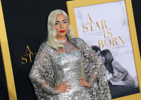 Lady Gaga Longsleeve T-shirt #3798178