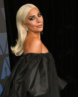 Lady Gaga Longsleeve T-shirt #3798393