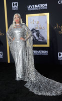 Lady Gaga Sweatshirt #3798442