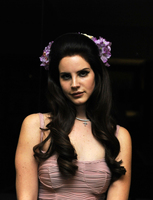 Lana Del Rey hoodie #2127019