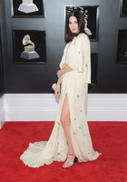 Lana Del Rey longsleeve t-shirt #3247965