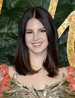 Lana Del Rey longsleeve t-shirt #3775434