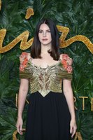 Lana Del Rey hoodie #3775436