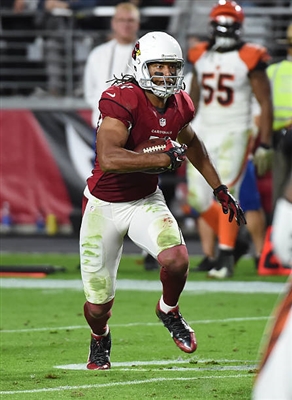 Larry Fitzgerald posters