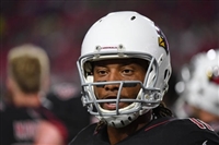 Larry Fitzgerald mug #G1714525