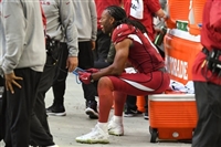 Larry Fitzgerald mug #G1714531