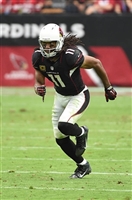 Larry Fitzgerald mug #G1714532