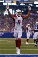 Larry Fitzgerald mug #G1714534