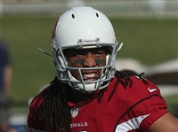 Larry Fitzgerald mug #G1714546