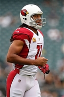 Larry Fitzgerald mug #G1714582