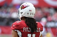 Larry Fitzgerald mug #G1714587