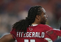 Larry Fitzgerald mug #G1714592