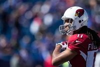 Larry Fitzgerald mug #G1714617