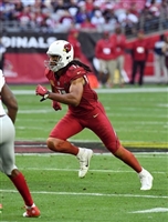 Larry Fitzgerald Longsleeve T-shirt #3472399