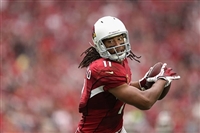 Larry Fitzgerald magic mug #G1714642