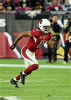 Larry Fitzgerald mug #G1714658
