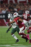 Larry Fitzgerald mug #G1714661