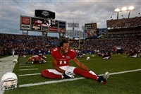 Larry Fitzgerald mug #G1714670