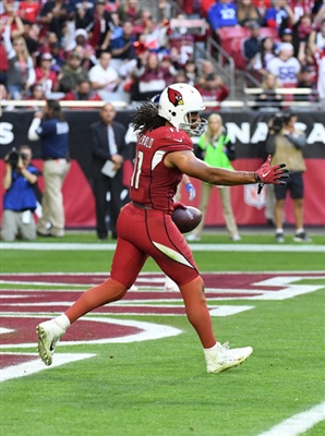 Larry Fitzgerald posters