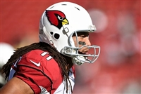 Larry Fitzgerald mug #G1714856