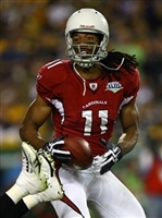 Larry Fitzgerald mug #G1714866