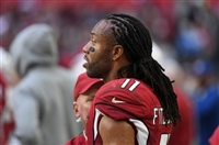 Larry Fitzgerald mug #G1714877