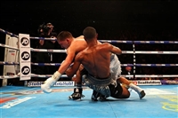 Lee Selby Sweatshirt #3599860