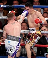 Leo Santa Cruz mug #G1824437