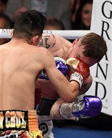 Leo Santa Cruz tote bag #G1824439