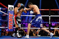 Leo Santa Cruz tote bag #G1824457