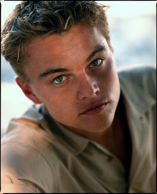 Leonardo DiCaprio Poster 2211748
