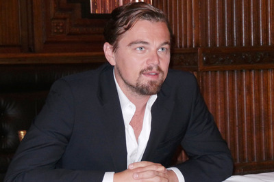 Leonardo DiCaprio wooden framed poster