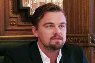 Leonardo DiCaprio wooden framed poster