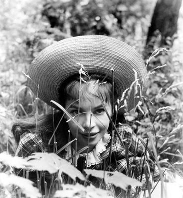 Leslie Caron posters