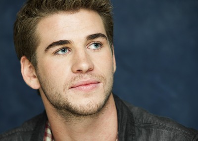 Liam Hemsworth stickers 2308863