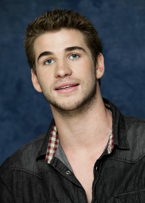 Liam Hemsworth stickers 2308888