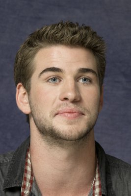 Liam Hemsworth stickers 2308889