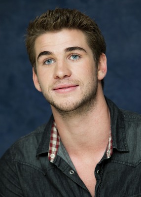 Liam Hemsworth puzzle 2308905