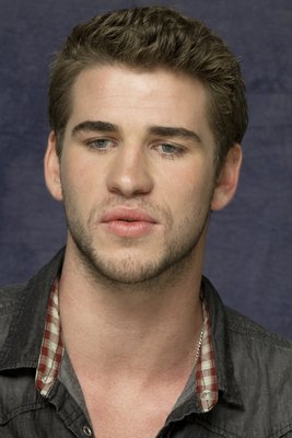 Liam Hemsworth Poster 2308921