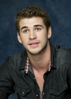 Liam Hemsworth puzzle 2308923