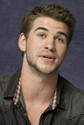 Liam Hemsworth puzzle 2308938