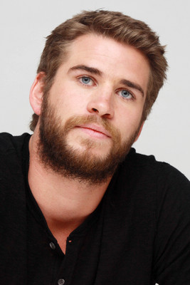 Liam Hemsworth stickers 2340440